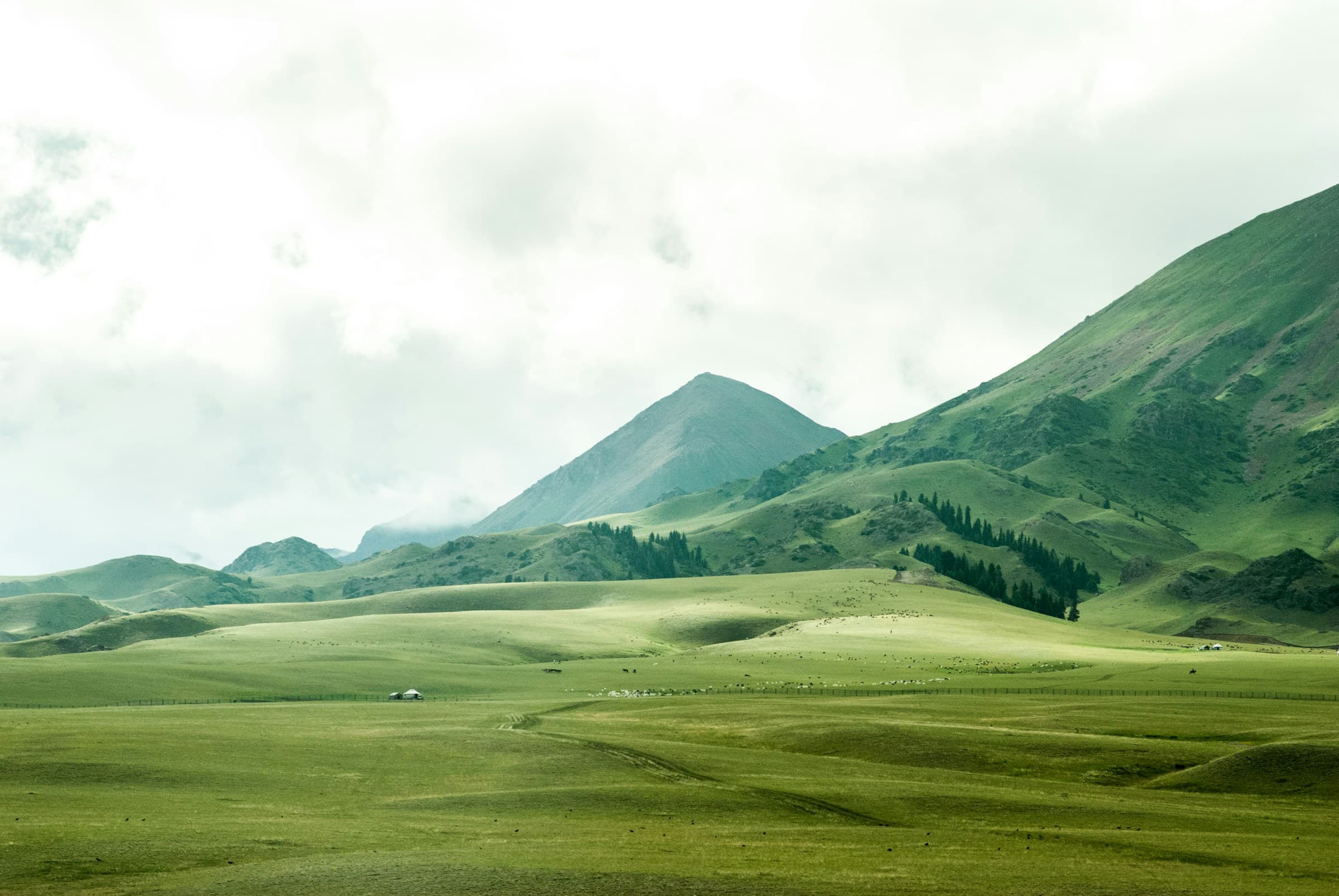 Green mountains background
